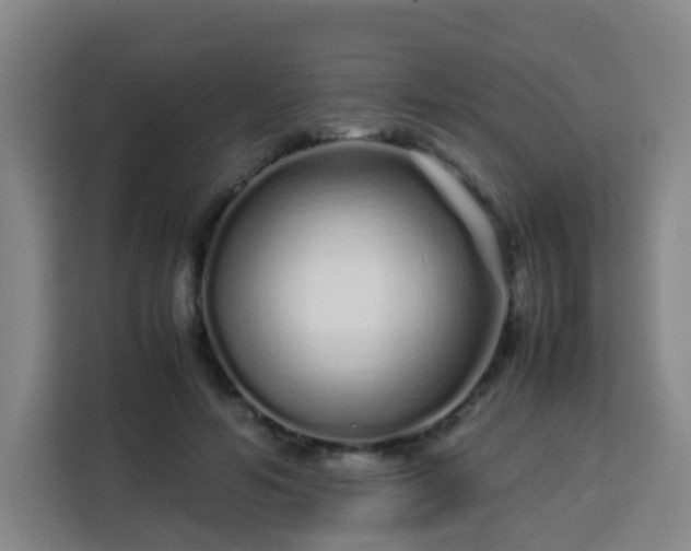 X0000113760594200909301111