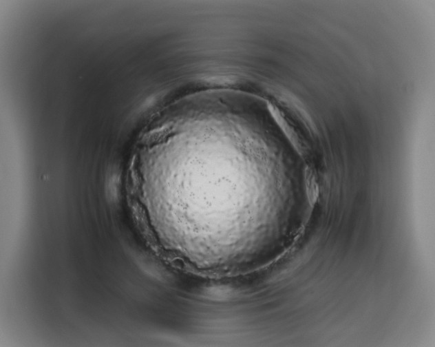 X0000113760596200909301111