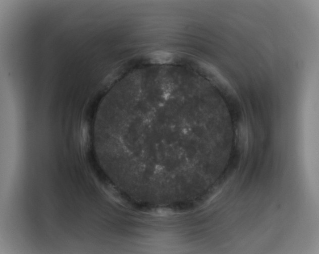 X0000113760598200909301111