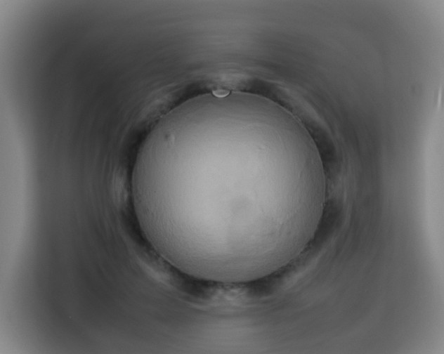 X0000113760599200909301111