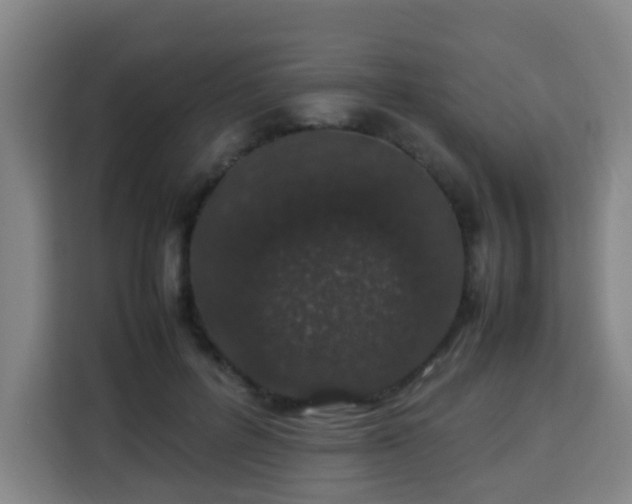 X0000113760600200909301111