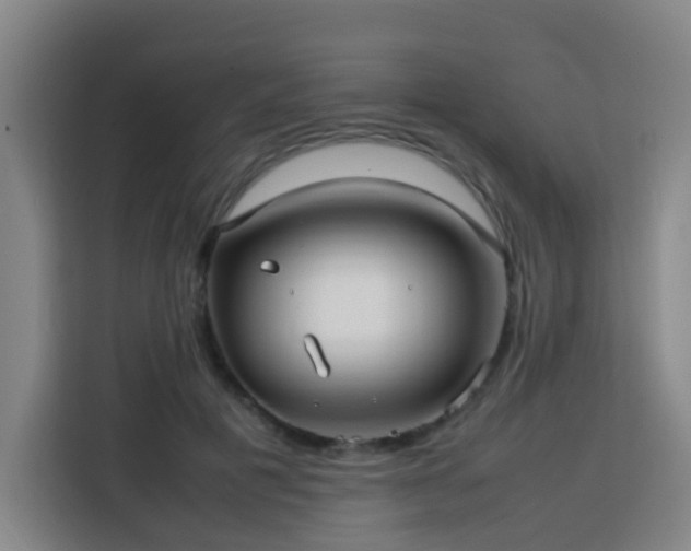 X0000113760601200909301111