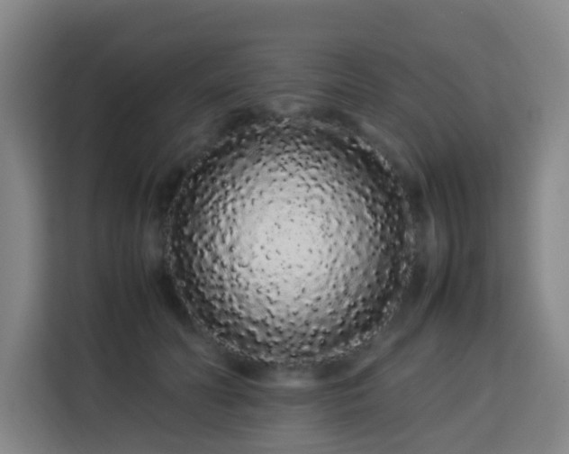 X0000113760606200909301111