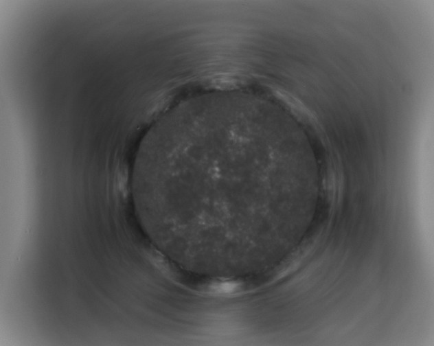 X0000113760610200909301111