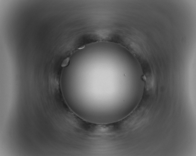 X0000113760613200909301111