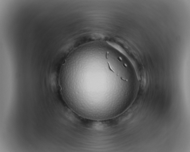 X0000113760616200909301111