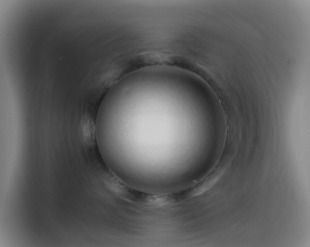 X0000113760624200909301110