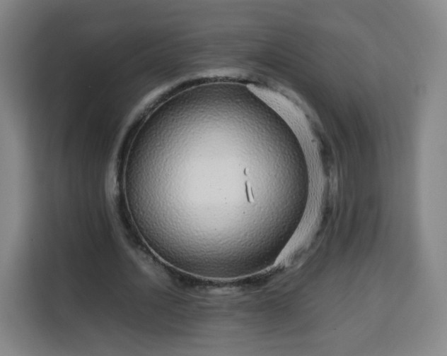 X0000113760628200909301110
