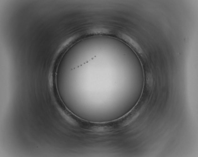 X0000113760629200909301110