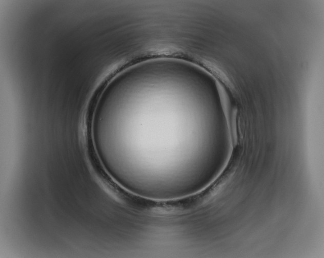 X0000113760630200909301110