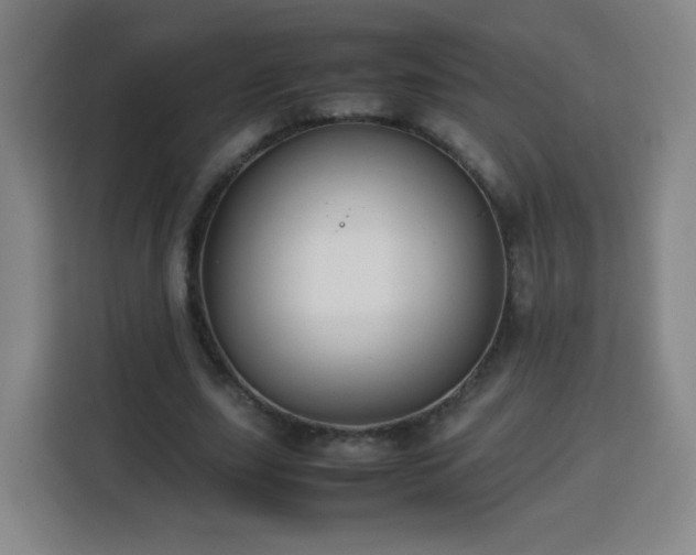 X0000113760631200909301110