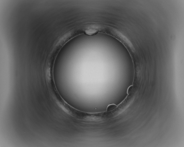 X0000113760633200909301110