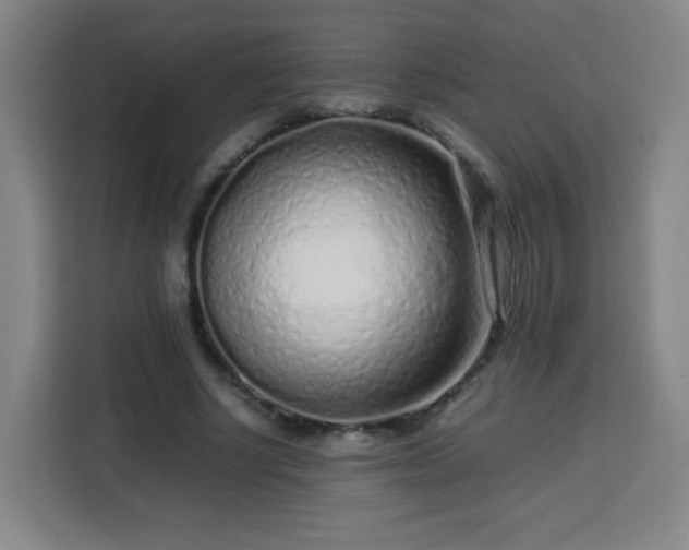 X0000113760634200909301110