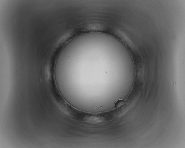 X0000113760635200909301110