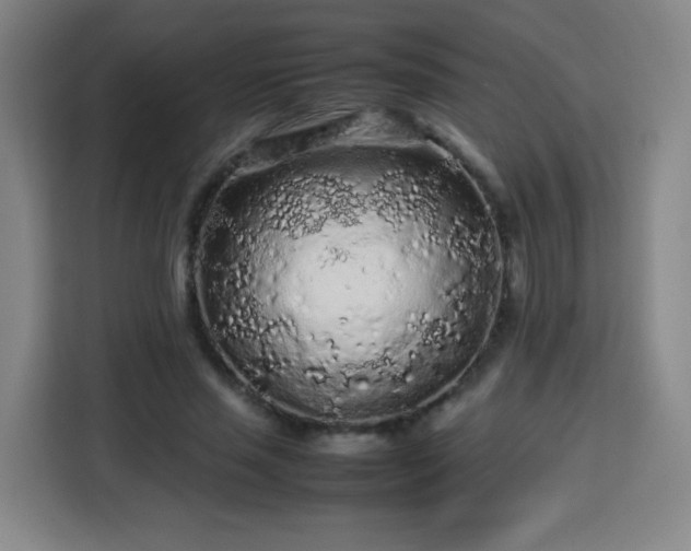 X0000113760637200909301110