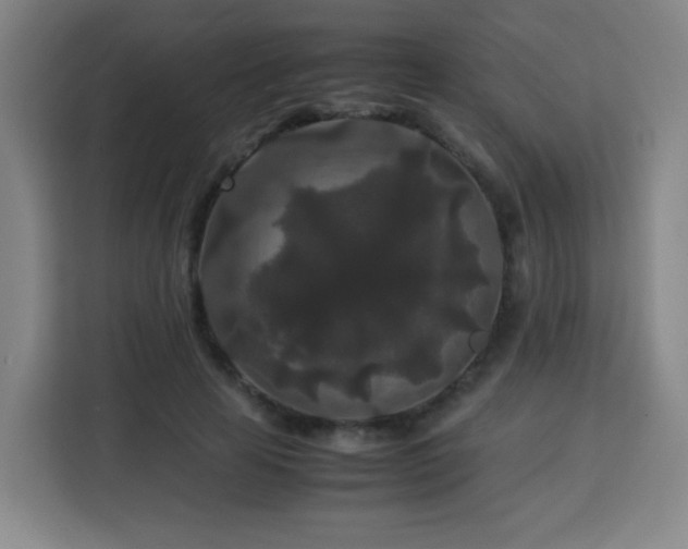 X0000113760641200909301110