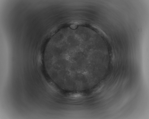 X0000113760643200909301110