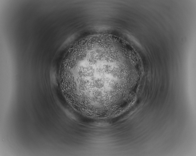 X0000113760644200909301110
