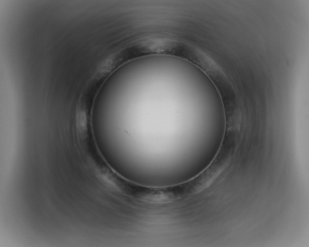 X0000113760646200909301110