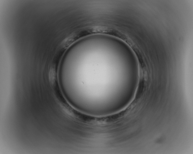 X0000113760648200909301110