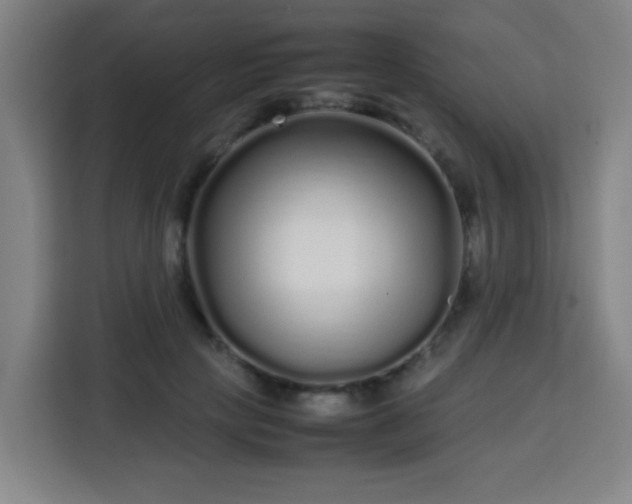 X0000113760649200909301110