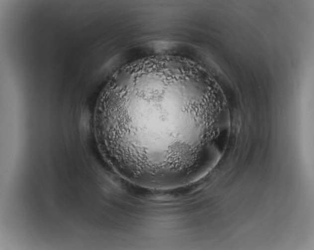 X0000113760650200909301110