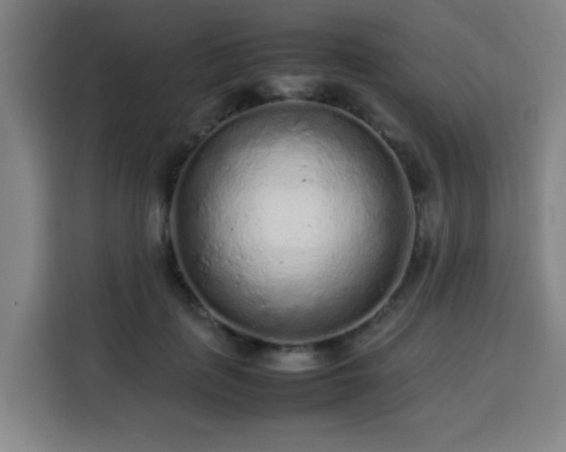 X0000113760651200909301110