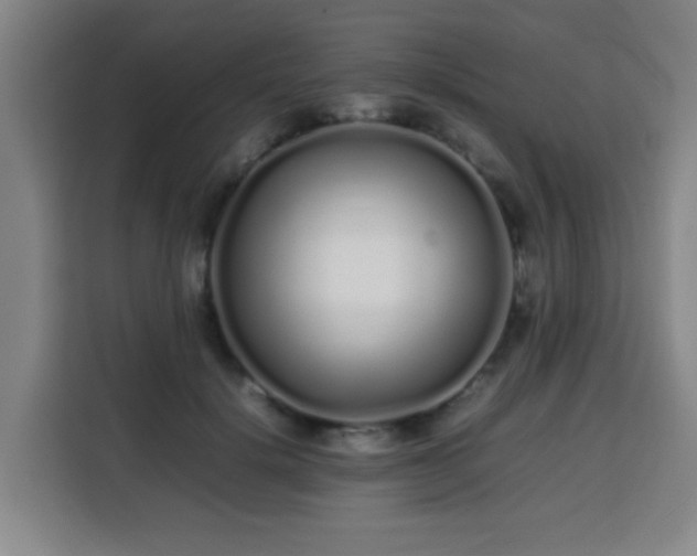 X0000113760652200909301110