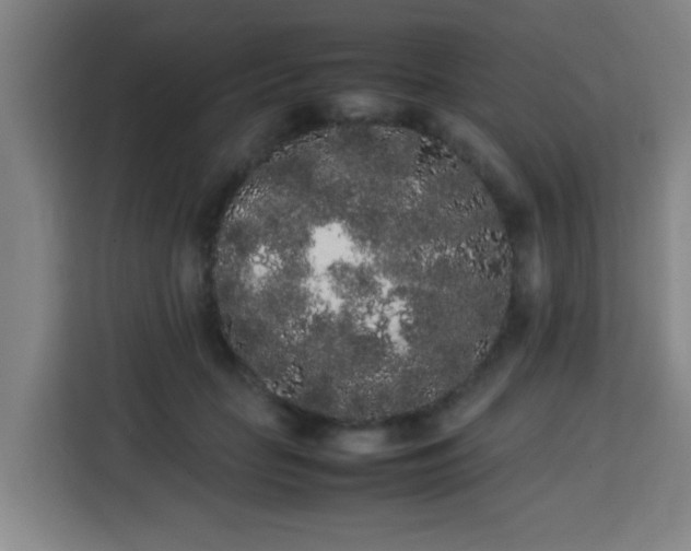 X0000113760653200909301110