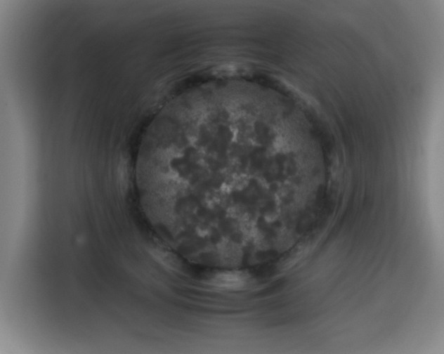 X0000113760659200909301110