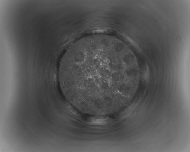 X0000113760661200909301110