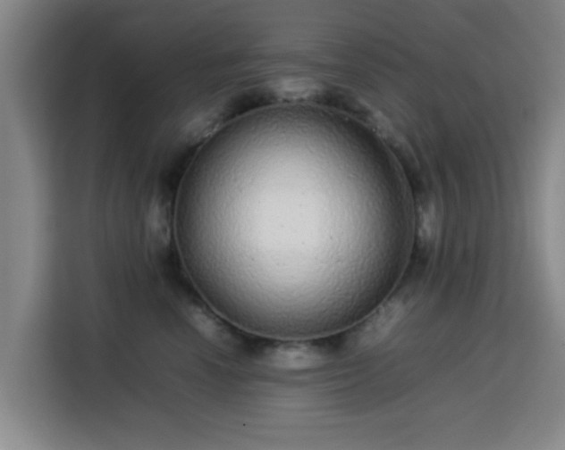 X0000113760666200909301110