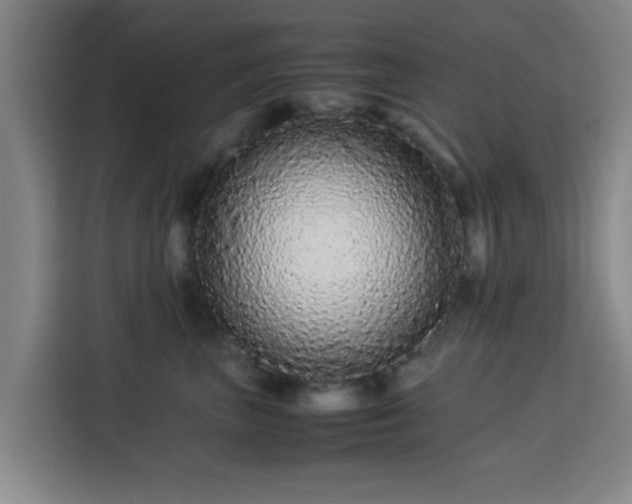 X0000113760667200909301110