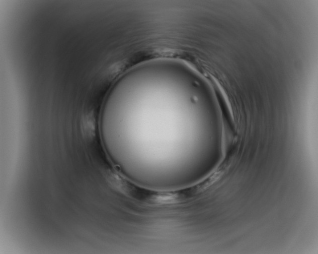 X0000113760668200909301110