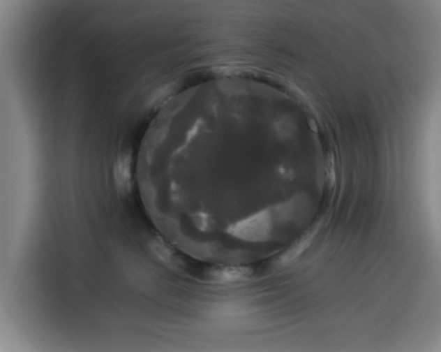 X0000113760670200909301110