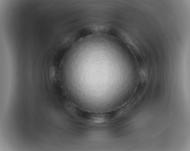 X0000113760671200909301110
