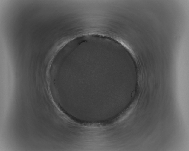 X0000113760673200909301110