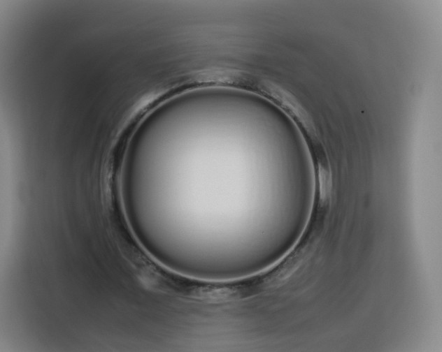 X0000113760675200909301110