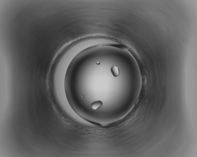 X0000113760676200909301110