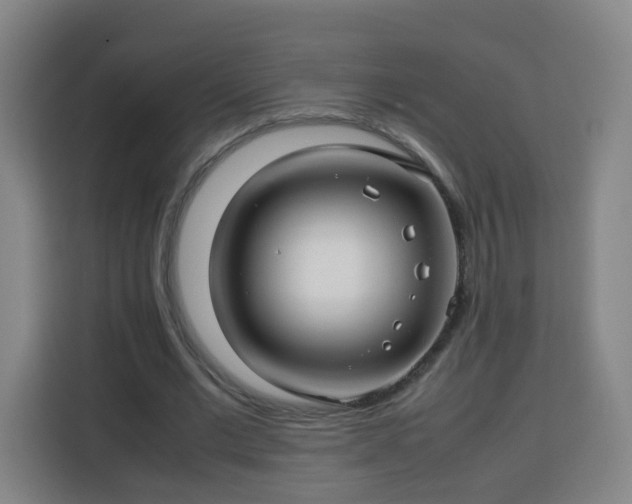 X0000113760677200909301110