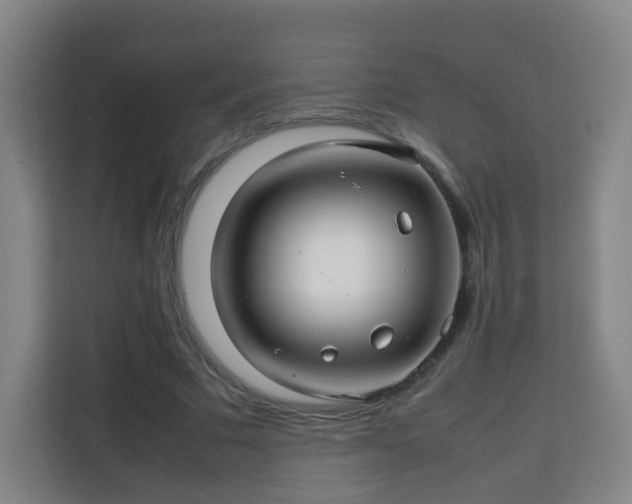 X0000113760681200909301110