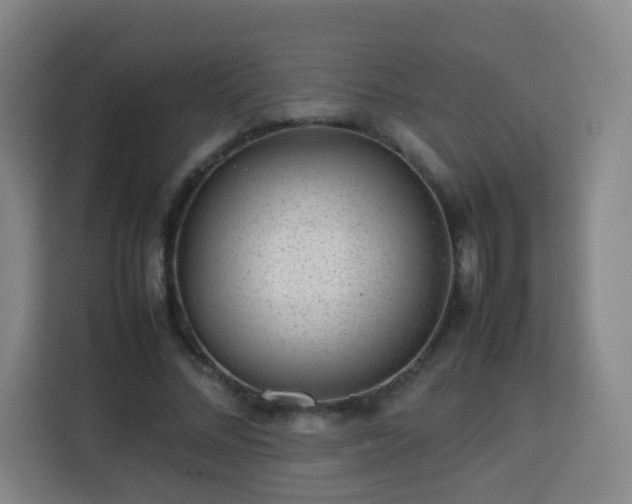 X0000113760684200909301110