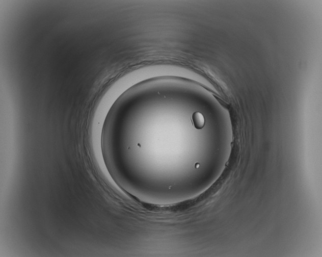 X0000113760685200909301110