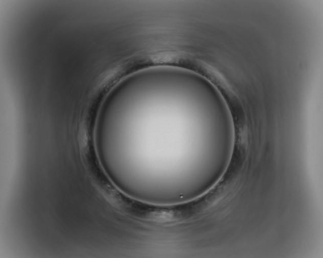 X0000113760687200909301110
