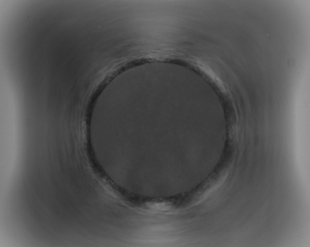 X0000113760689200909301110