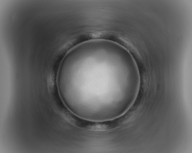 X0000113760691200909301110