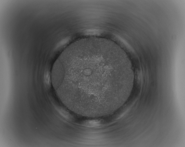 X0000113760692200909301110
