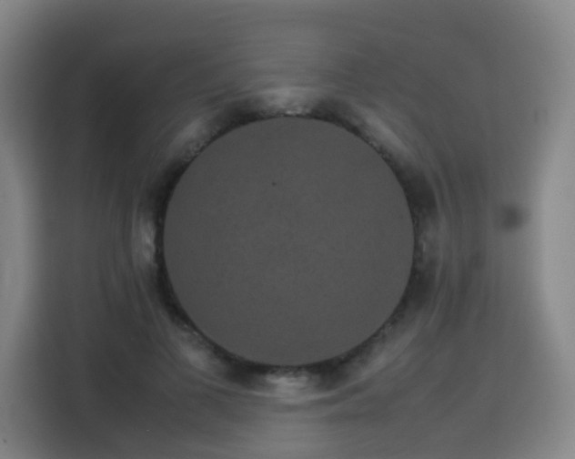 X0000113760693200909301110