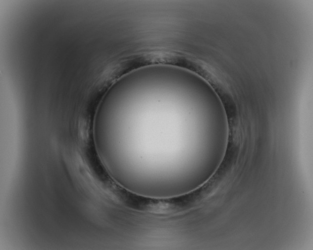 X0000113760695200909301110