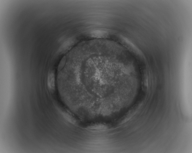 X0000113760696200909301109